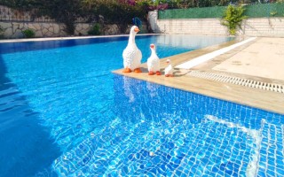 VİLLA SEAHORSE | Dalyan Rental Villa