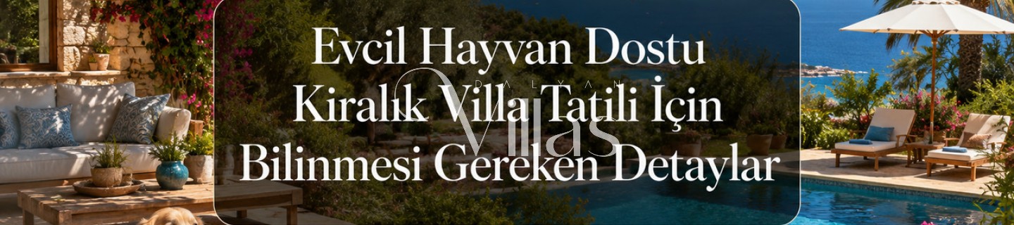 Pet-Friendly Rental Villa Holiday Guide
