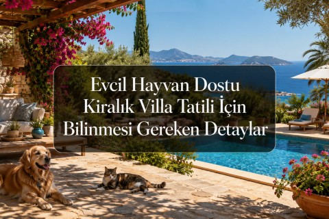 Pet-Friendly Rental Villa Holiday: Details You Need to Know