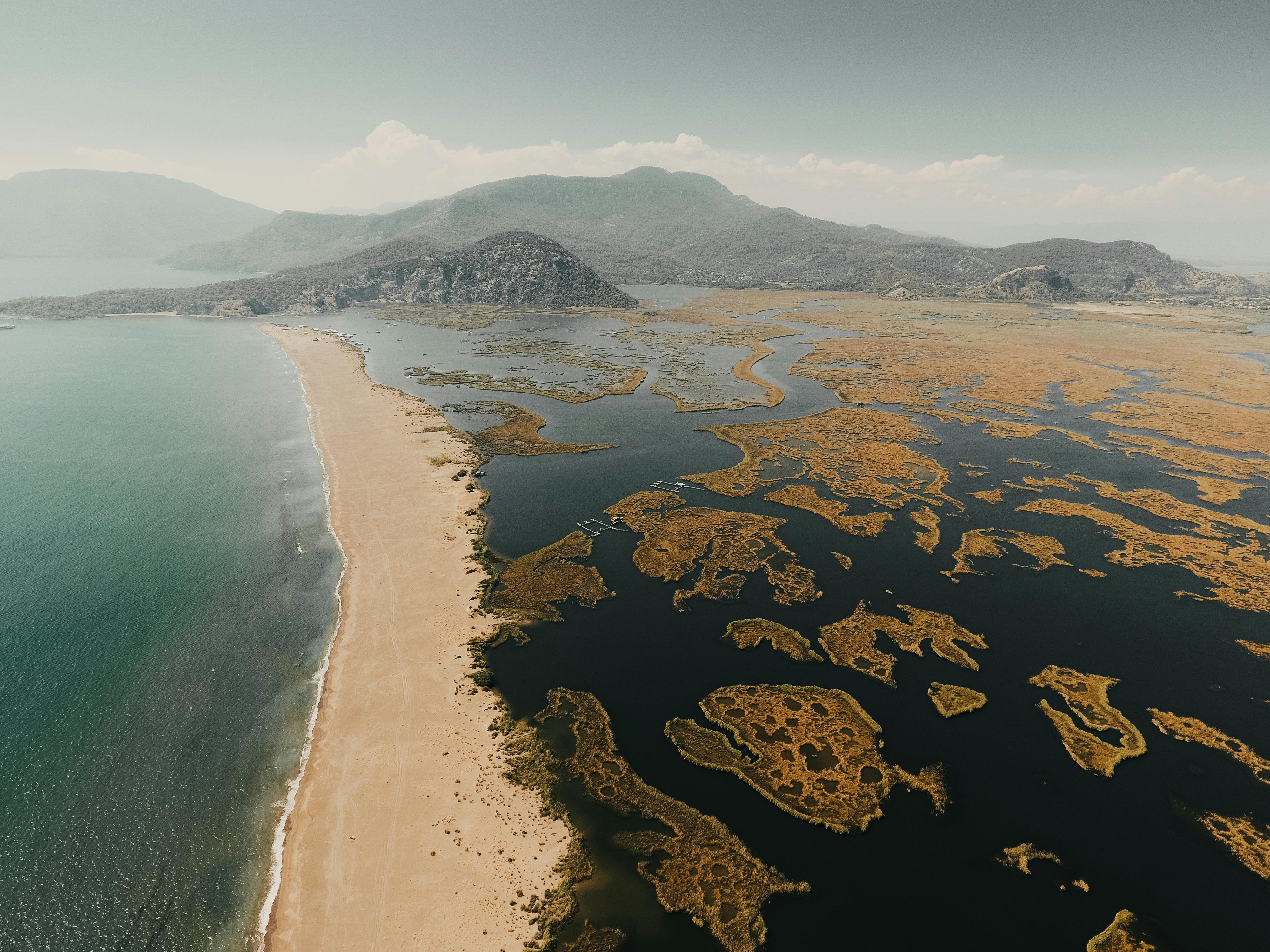 Caretta Dalyan İztuzu Plajı
